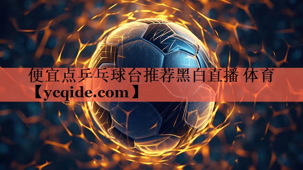便宜点乒乓球台推荐黑白直播 体育