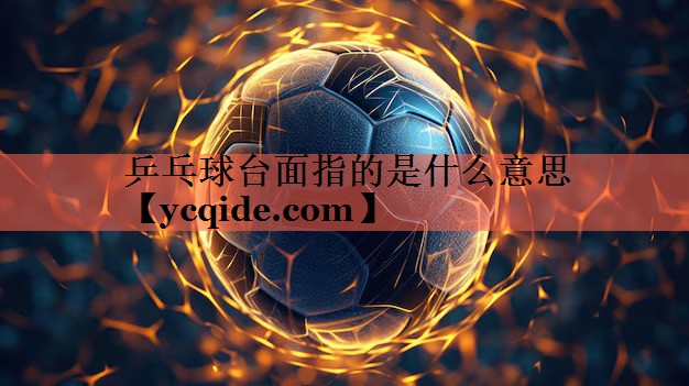 乒乓球台面指的是什么意思